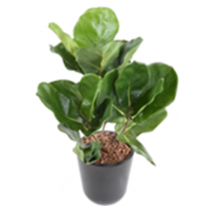 LYRATA MACETA ARTIFICIAL