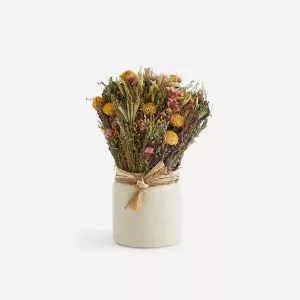 PLANTA NATURAL PRESERVADA EN MACETA