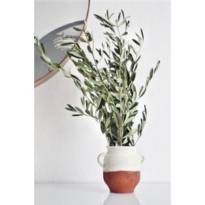 RAMAS DE OLIVO FRESCAS ,PARA DECORACIÓN Y BODAS - RAMAS DE OLIVO PARA DOMINGO DE RAMOS- RAMA DE OLIVO DECORACION