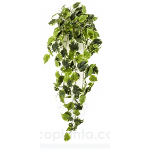 Arbusto colgante HIEDRA UV