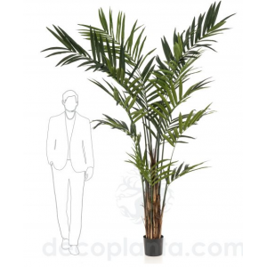 Árbol KENTIA MAXI 270 cm