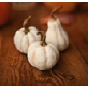 CALABAZAS BLANCAS MINIS