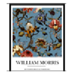 CUADRO LAMINA ENMARCADO WILLIAM MORRIS PASSIFLORA FONDO AZUL 50X40CM