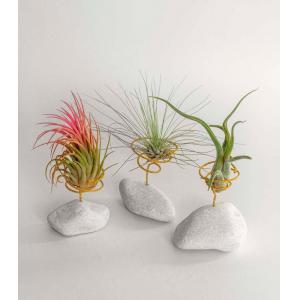 PIEDRA BLANCA NATURAL