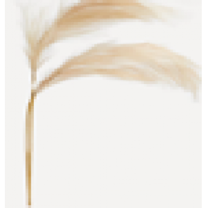 SET 2 RAMAS ARTIFICIALES DE PLUMAS PAMPAS
MEDIDAS: 10 (ANCHO) X 135 (LARGO) CM