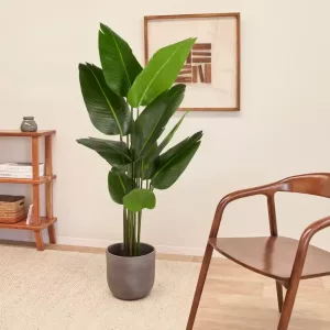 Planta Artificial Bananera 160cm