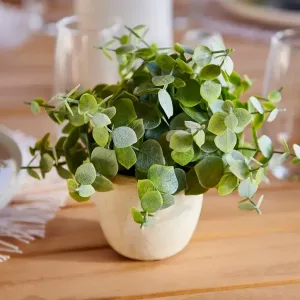TERRA Planta en maceta blanco, verde