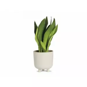 Maceta Cerámica Marfil