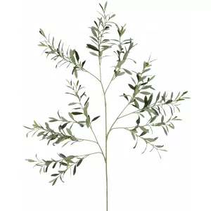 Arte Rama de Olivo 109 cm