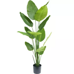 Ave del Paraiso Planta artificial Strelitzia 180 cm tacto real
