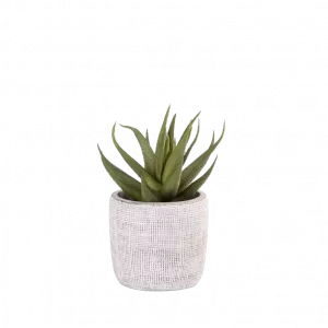 CEMENT Planta artificial gris