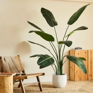 Planta artificial Strelitzia de 120cm-230cm con maceta de plástico