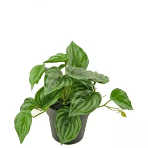 Planta artificial Sandía 18 cm