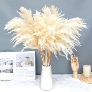 Ramo de flores secas naturales para decoración de boda, heno bohemio para fiesta y hogar, hierba de cola de conejo, orejas de trigo, Pampas de caña, 5 piezas, 10 piezas