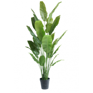 Ave del Paraiso Planta artificial Strelitzia Nicolai Deluxe 235 cm