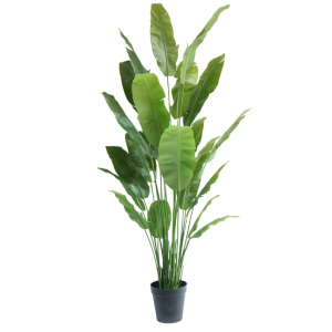 Ave del Paraiso Planta artificial Strelitzia Nicolai Deluxe 235 cm