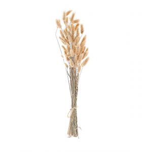 Ramo de flores secas natural/marrón 58 cm SANABRIA