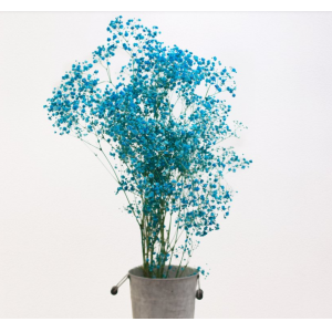 RAMITO DE 10 TALLOS DE 40-60 CM POR 70-80 GRAMOS.