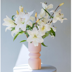 "LIRIOS BLANCOS - ORIGEN LOCAL STANDARD, FLORERO ANNA"