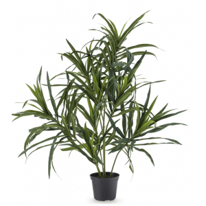 Planta artificial Dracaena Reflexa 63 cm