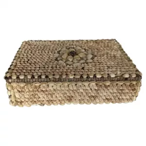 Joyero moderno americano contemporáneo de concha y concha de cauri