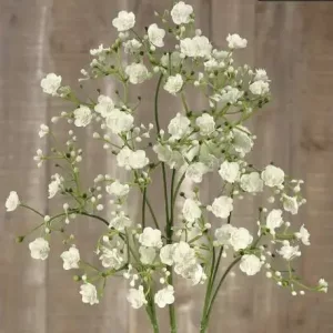 Gypsophila artificial paniculata