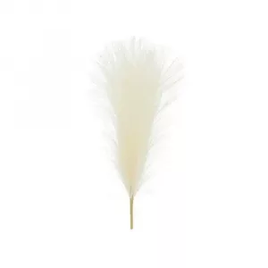 Pluma de pampa 45 cm