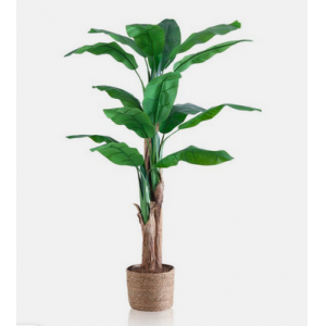 Bananero artificial, Diseño natural