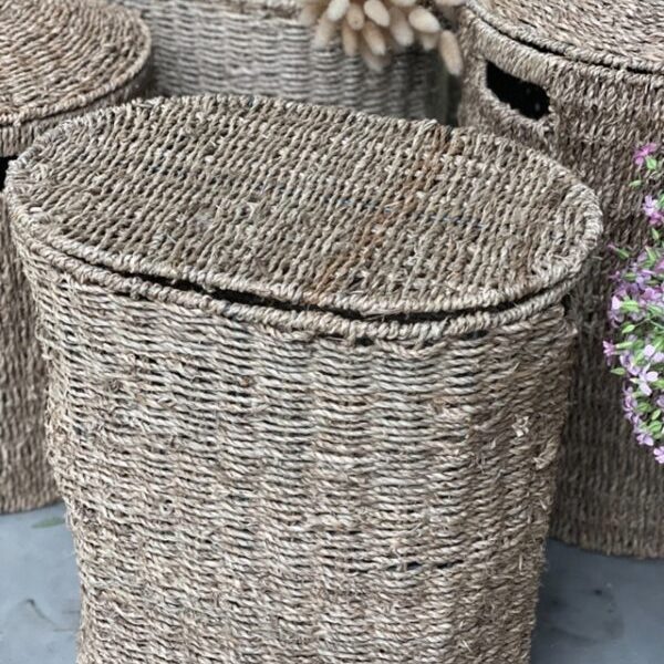 a35dd65a-9711-44a3-99fb-f9c48b8c6315-7bd0aec889b55e6a5616330208434319-640-0-600x800